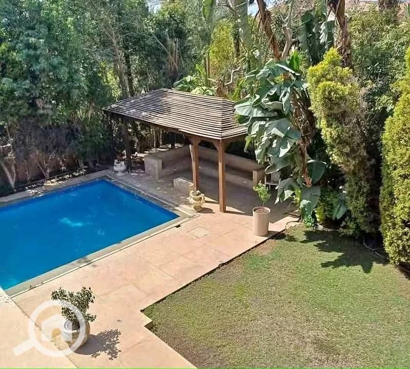 9 564611155_122150271164869717_3390316400653894319_n. jpg