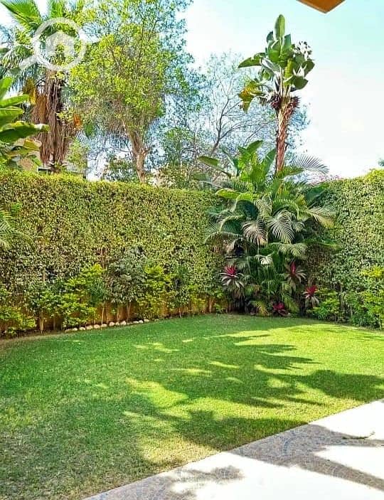 8 8e1a3655-03af-4271-8ad1-4f72b33a1eaa. jpeg