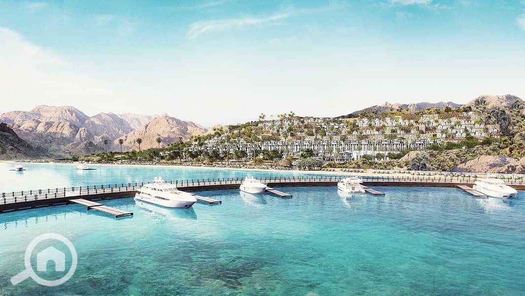 2 vkmdKa69budvXAgAkusG. jpg