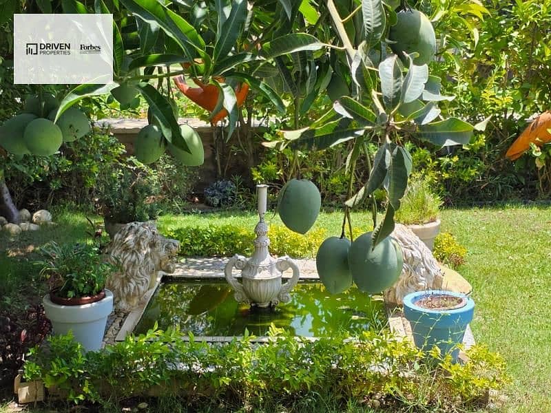 8 WhatsApp Image 2025-10-20 at 7.41. 45 PM. jpg