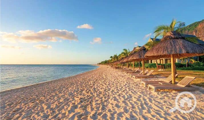 2 Details-About-Sequoia-North-Coast. jpg