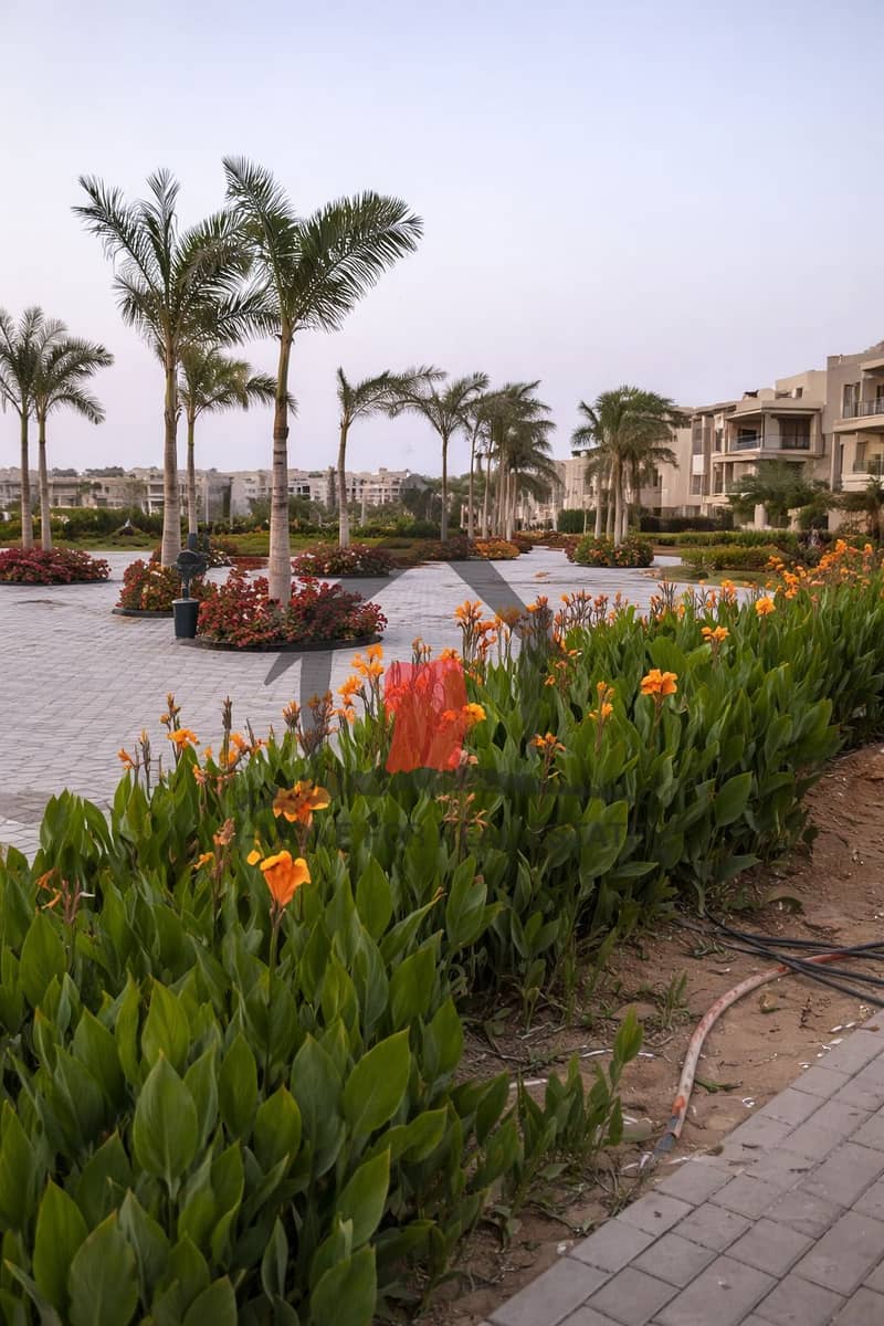 10 ChatGPT Image Jan 25, 2026, 11_59_38 PM. png