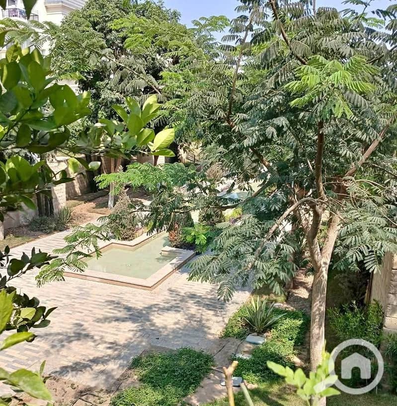 7 525952310_731369846272953_9222573657657291072_n. jpg