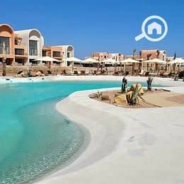 7 565113789_1382117063635230_1941152349723624547_n. jpg