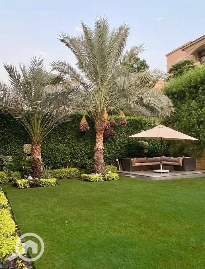 3 FB_IMG_1746233454163. jpg