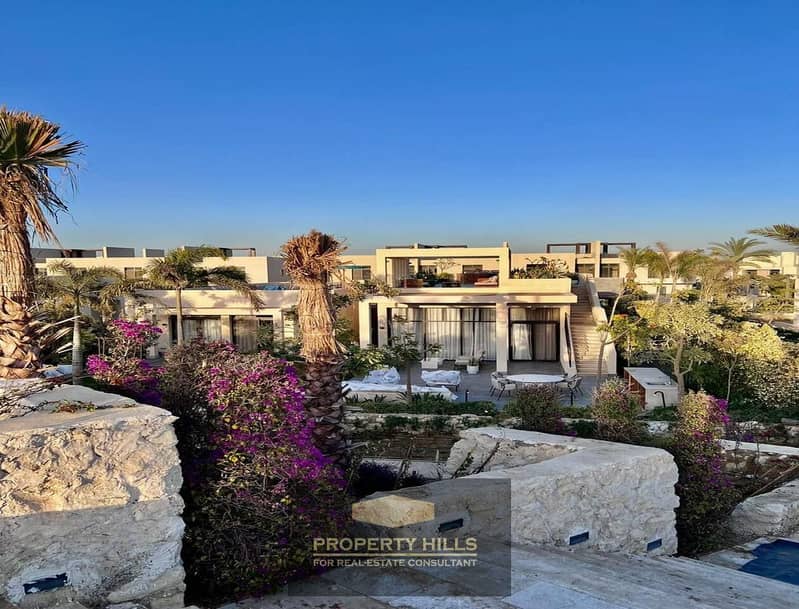 15 WhatsApp Image 2024-11-03 at 17.57. 28_3039f02a. jpg