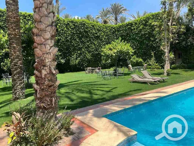 4 IMG-20260117-WA0241. jpg