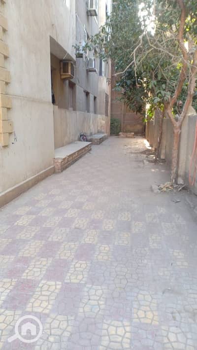 مکتب  للايجار في المعادي، القاهرة - 16b983a0-7f15-4709-8113-57f1432d5552. jpeg