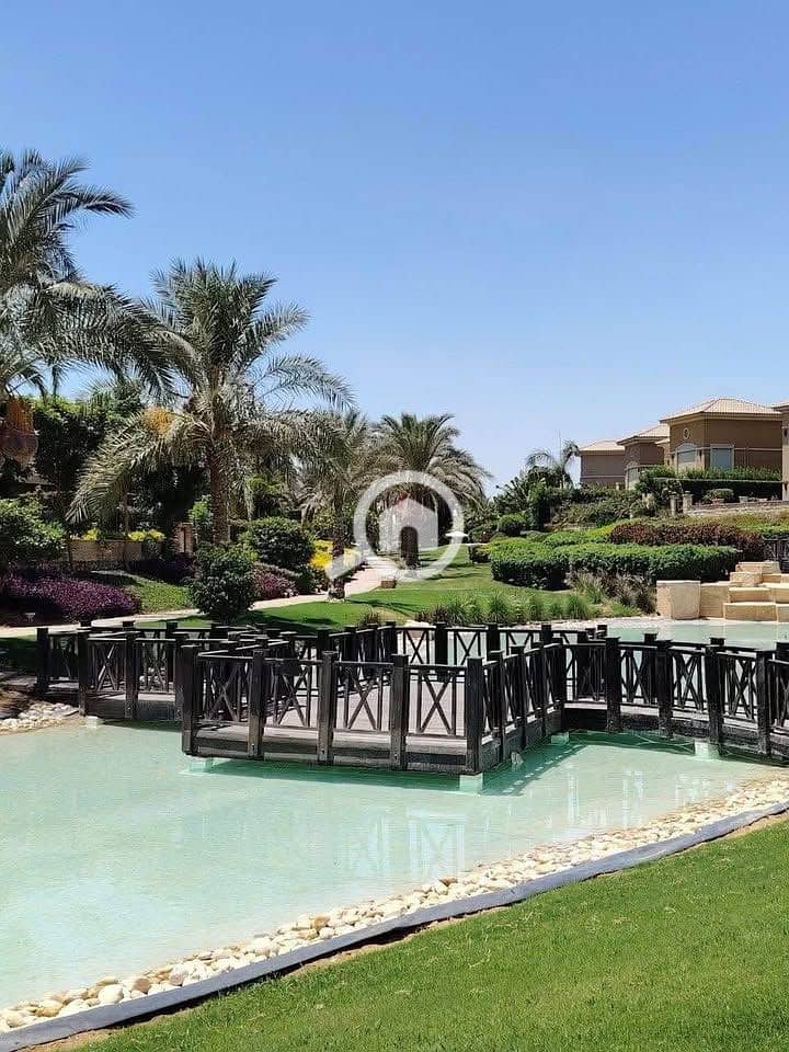 3 555589013_1252791786618528_2072376367958377294_n. jpg