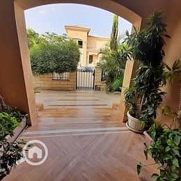 11 577614450_3289353851219127_5461012755839968680_n. jpg