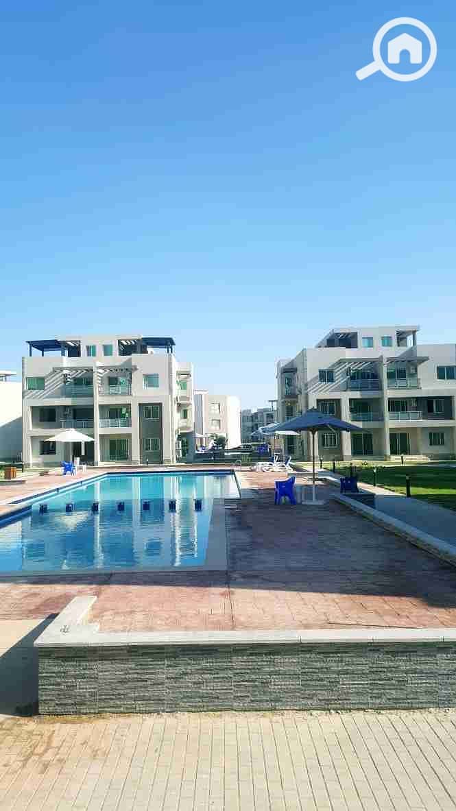 2 IMG_20210927_140855_522. jpg