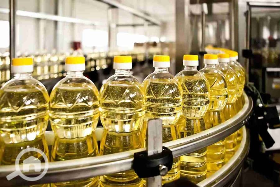 4 AcV4dIJi-27v0jvg6-1694626309_929_199481_image13-jpg. webp