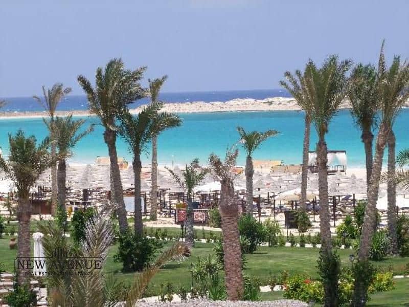 2 WhatsApp Image 2026-01-25 at 5.16. 55 PM. jpg