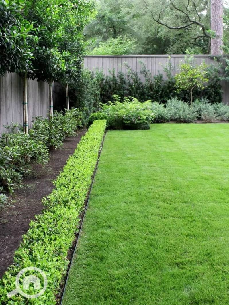 8 558504655_1341969287536948_6674435798402552459_n. jpg