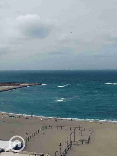 شقة 3 غرف نوم للايجار في بحرى والأنفوشى، الإسكندرية - 1000104941. jpg