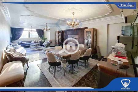 3 Bedroom Apartment for Rent in Miami, Alexandria - 1000099022. jpg