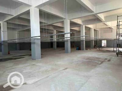 مصنع  للايجار في العاشر من رمضان، الشرقية - 1000466383. jpg