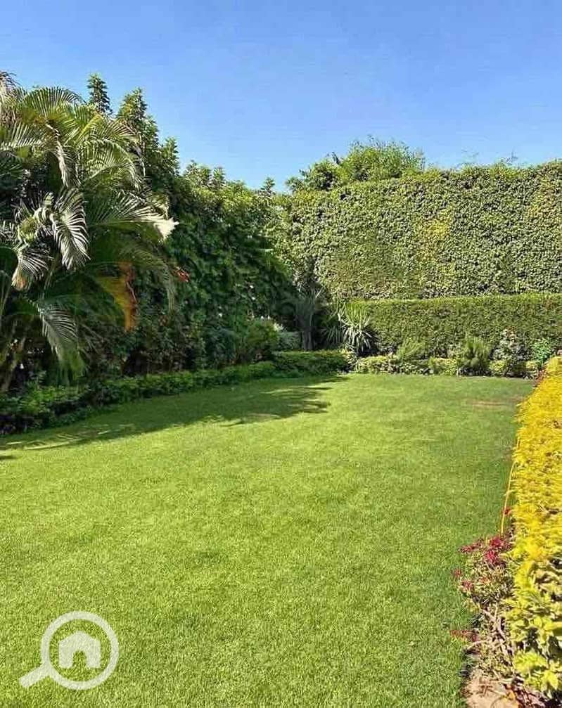 6 bf903902-ecc7-4ded-b75c-71efd3532511. jpg