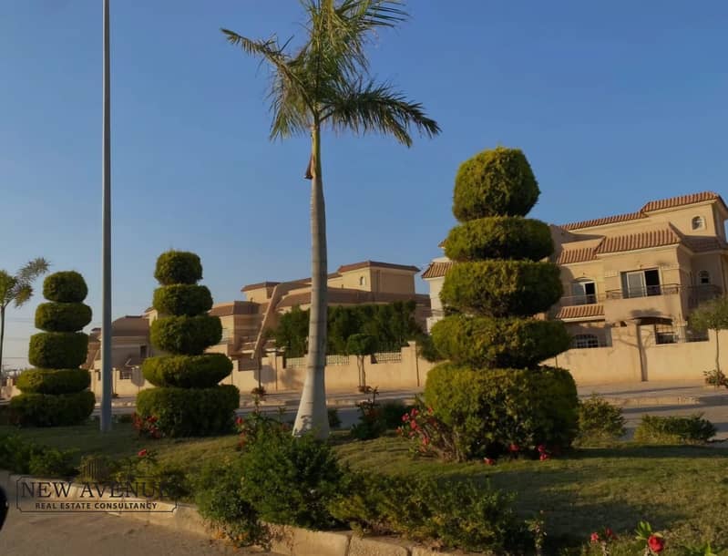 7 09eae7a1-d005-4016-917e-7d8fd32435e3. jpg