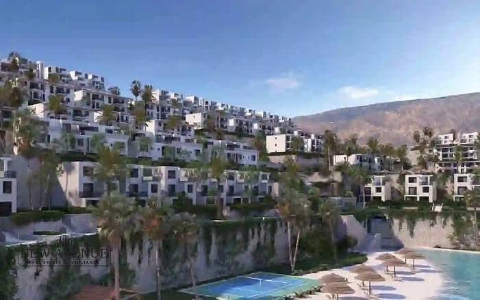 2 cfaabc1b-224a-4f0c-a38e-7887dc88e92d. jpg