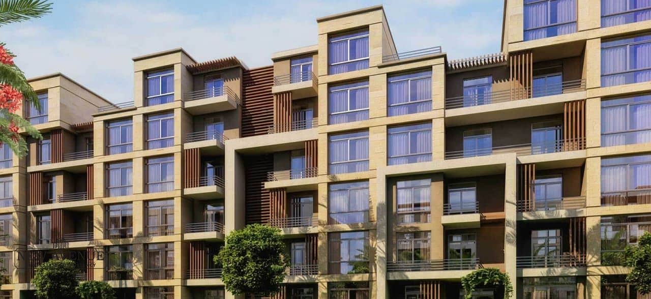 3 51ebdae1-dc60-4bd6-8891-757628dc91a8. jpg