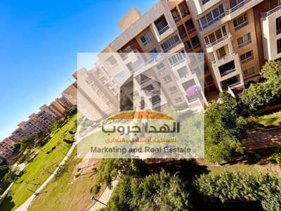 3 Bedroom Flat for Sale in Madinaty, Cairo - e52d06eb-8a2e-4ddd-93e6-17b55badfc43. jpg