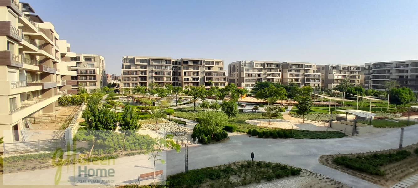 2 20250725_174115. jpg