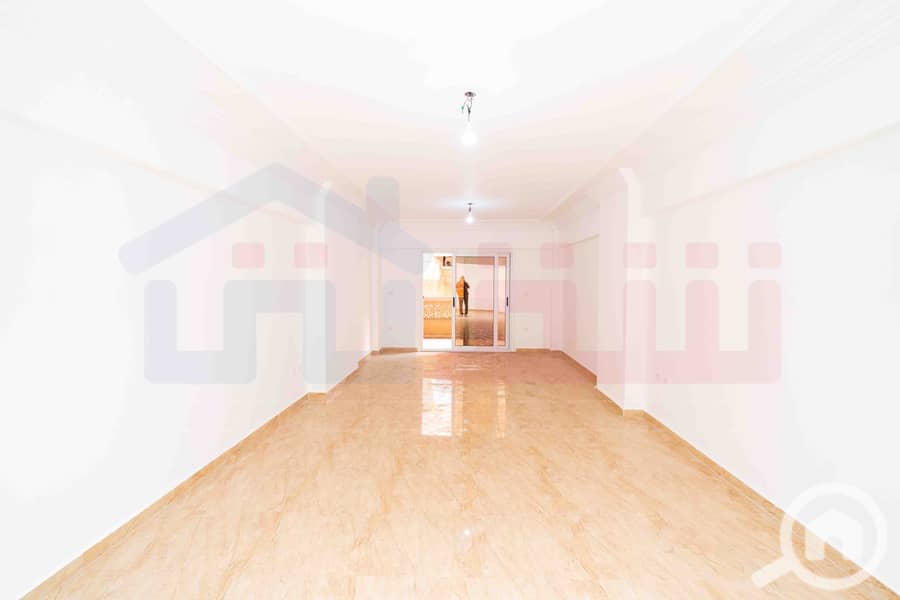 DSC05441. jpg DSC05441. jpg