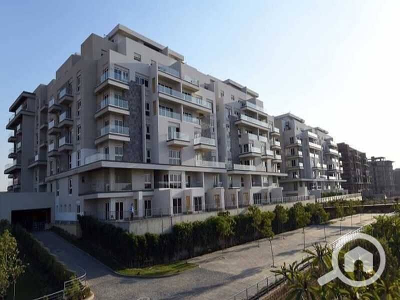 2 13f49110-22b9-433c-bb6a-2370301c963f. jpg