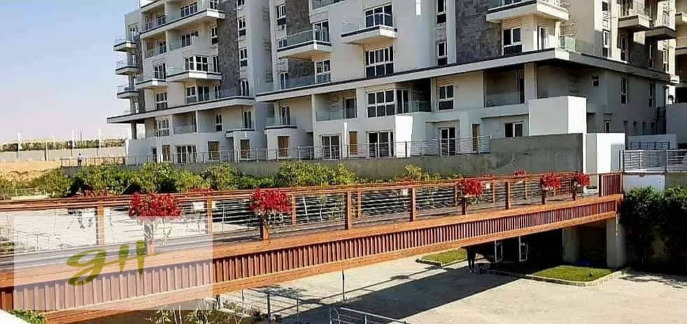 10 461659998_522028707455727_6602223144933141894_n. jpg