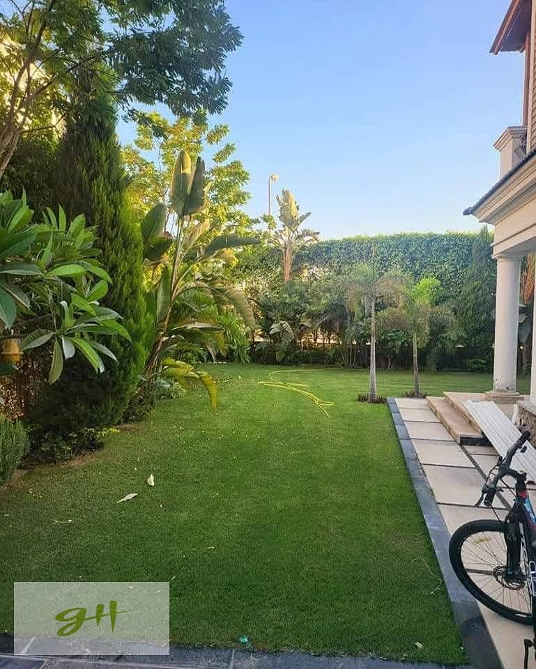 20 493069146_122172899618358041_1043422267348656268_n. jpg