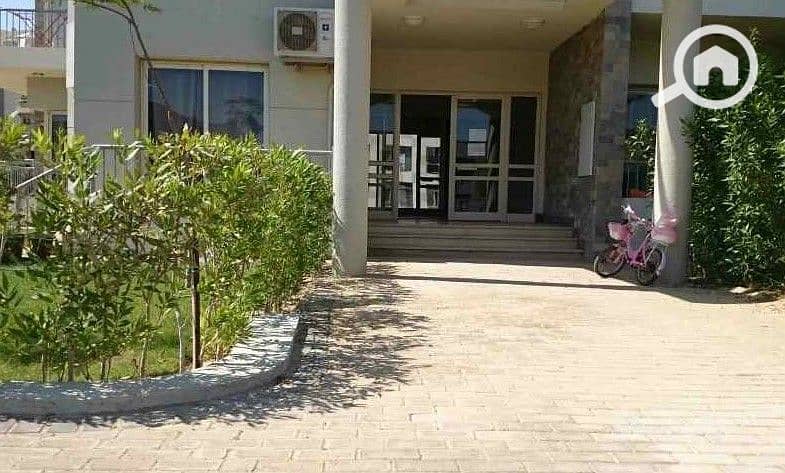 7 WhatsApp Image 2025-10-07 at 4.45. 50 PM (3). jpeg