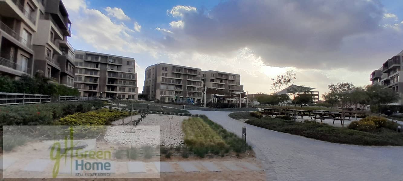 6 20260109_160014. jpg