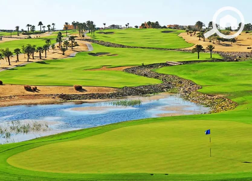 8 d8b815aa-eca9-4de6-a845-5d42530fd69c. jpg