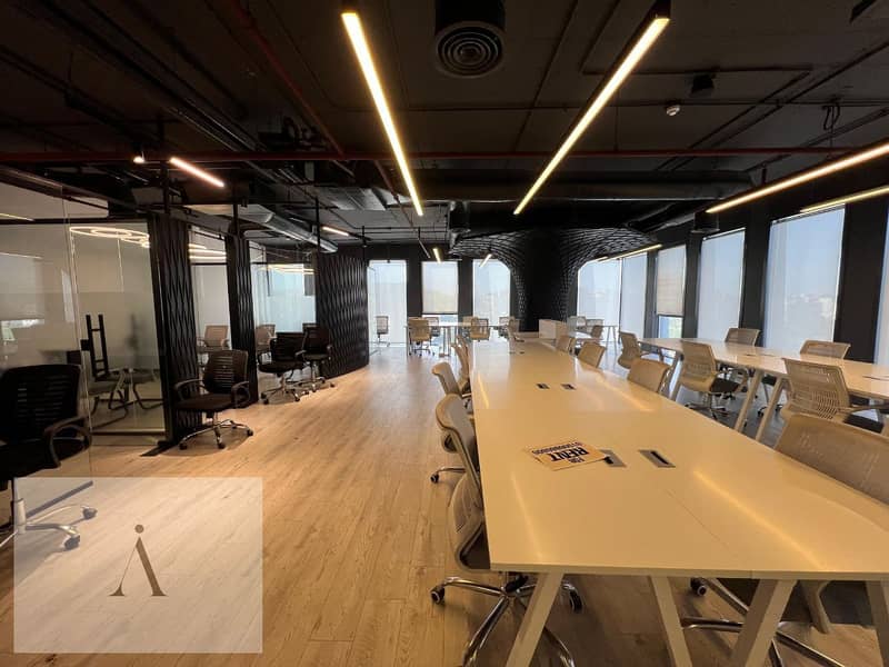 5 photo_8_2026-01-26_11-15-16. jpg