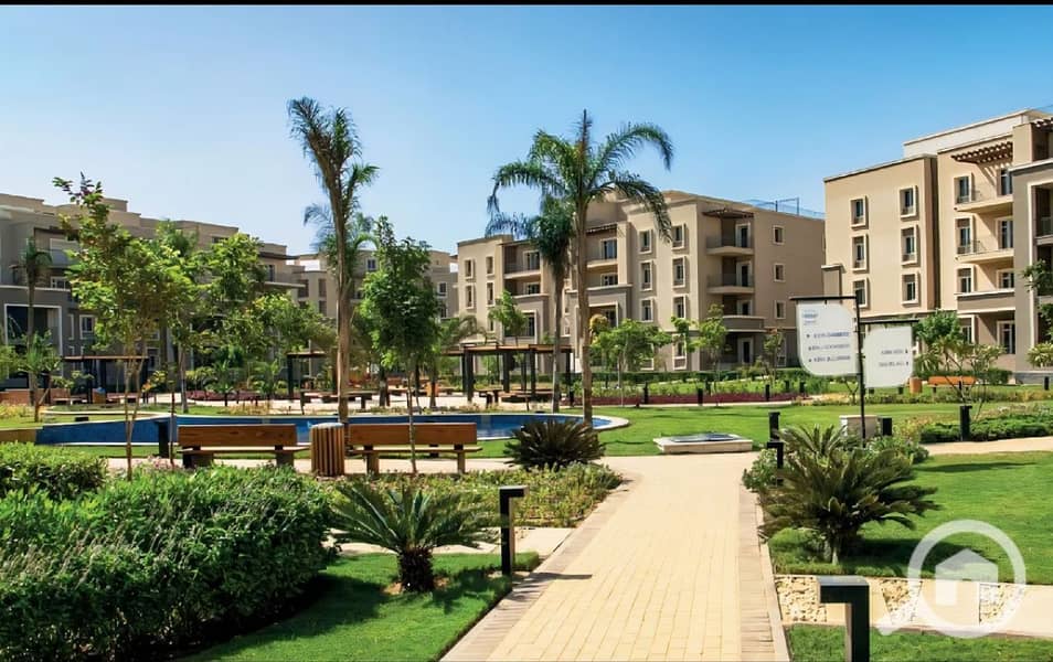 4 photo_13_2026-01-26_11-29-57. jpg