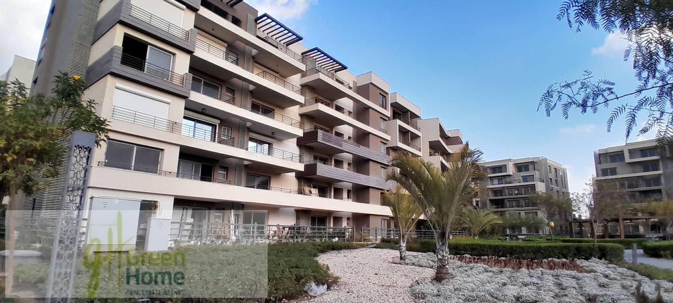 2 20260109_162451. jpg