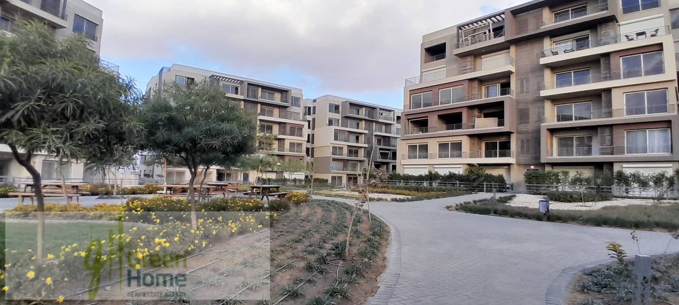 7 20260109_155933. jpg