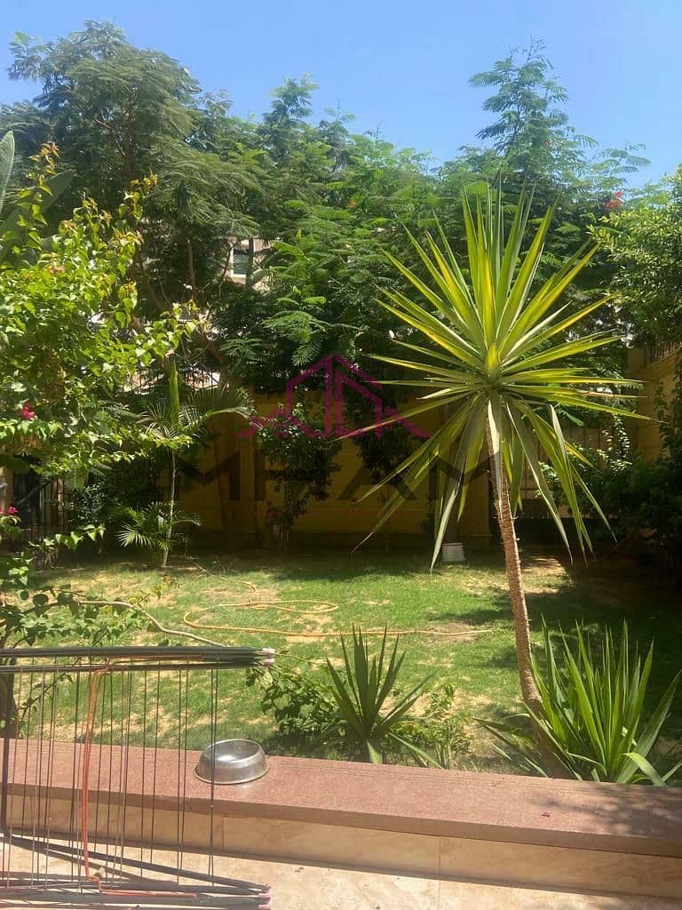 4 photo_6030484583440124839_y. jpg