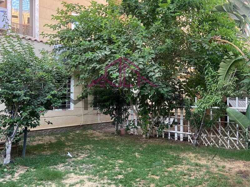 7 photo_6030484583440124841_y. jpg