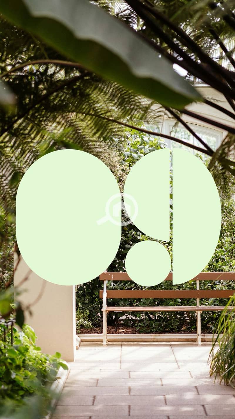 10 IMG-20251215-WA0024. jpg