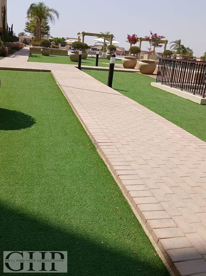 12 7d7c94ad-d7e2-47f5-a2ec-3d13d1d4b6e3. jpg