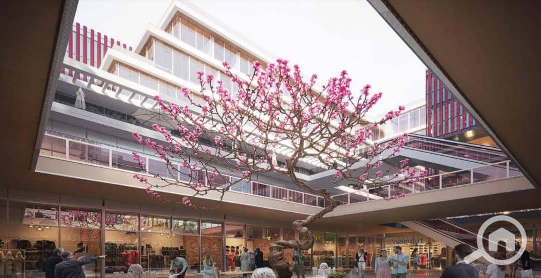 2 WhatsApp Image 2026-01-22 at 2.57. 46 PM. jpeg