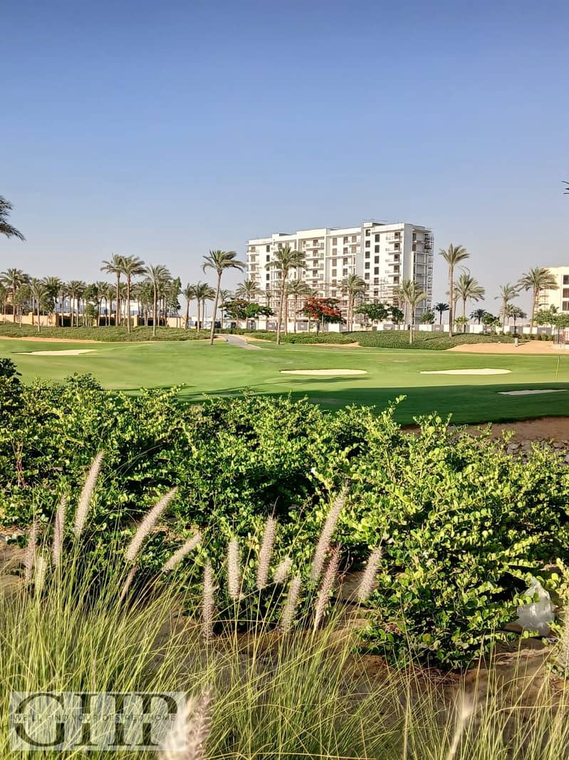 12 1aa6b022-a1d2-45e9-82d9-9cc3962acd84. jpg