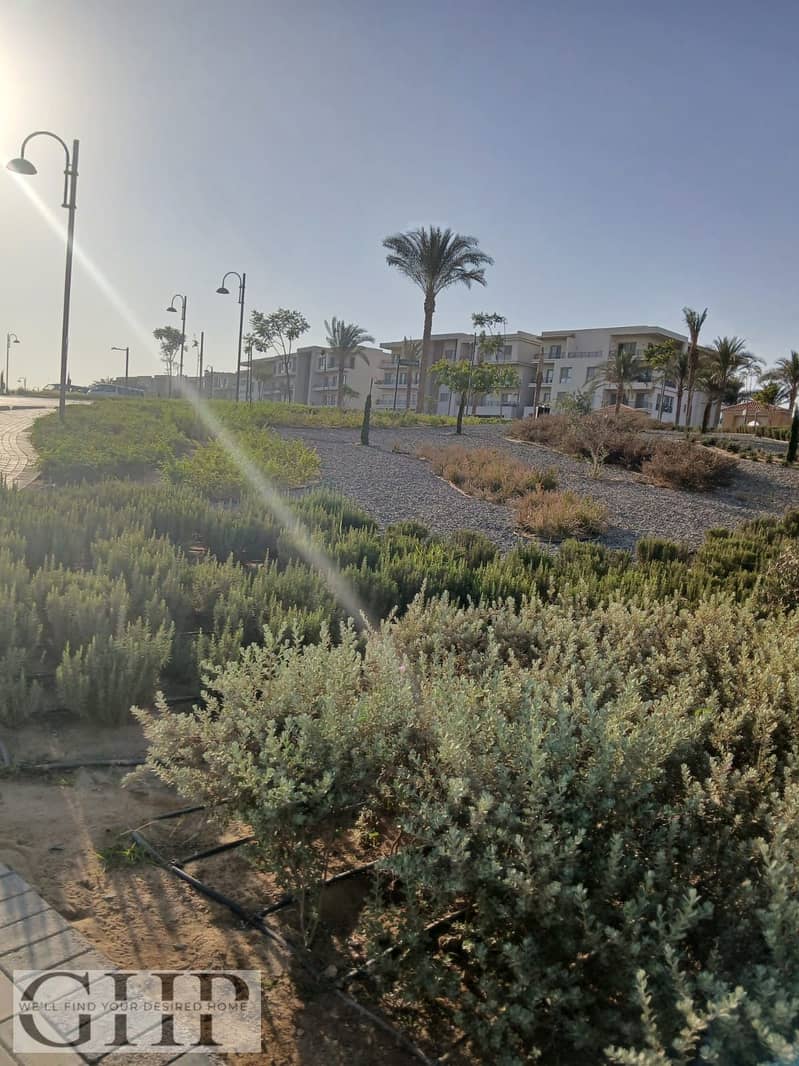 13 1cbb2392-9447-4264-91e6-3e26b47ea657. jpg