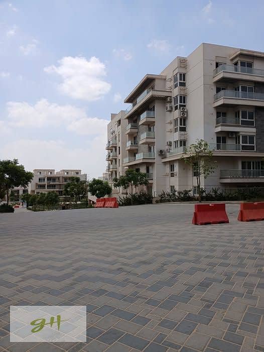 10 613695017_808186332244107_8841357522478764656_n. jpg