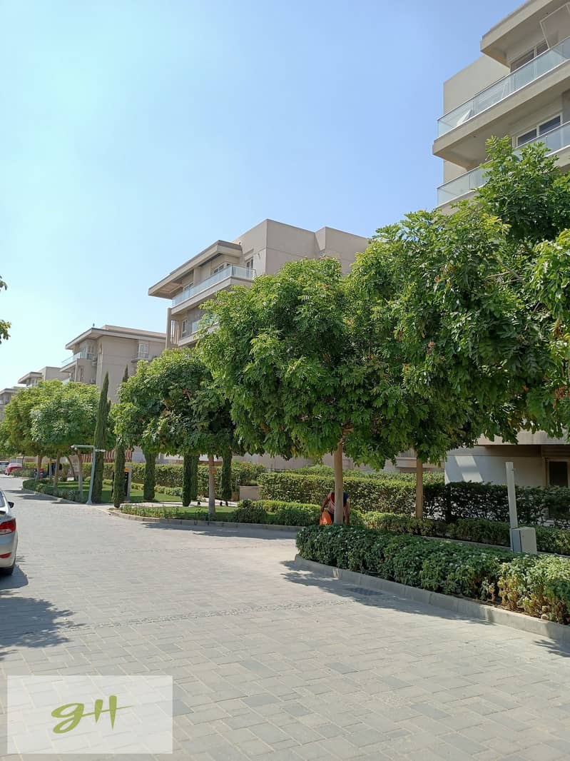 5 524687893_24013264328343171_7569679481097495014_n. jpg