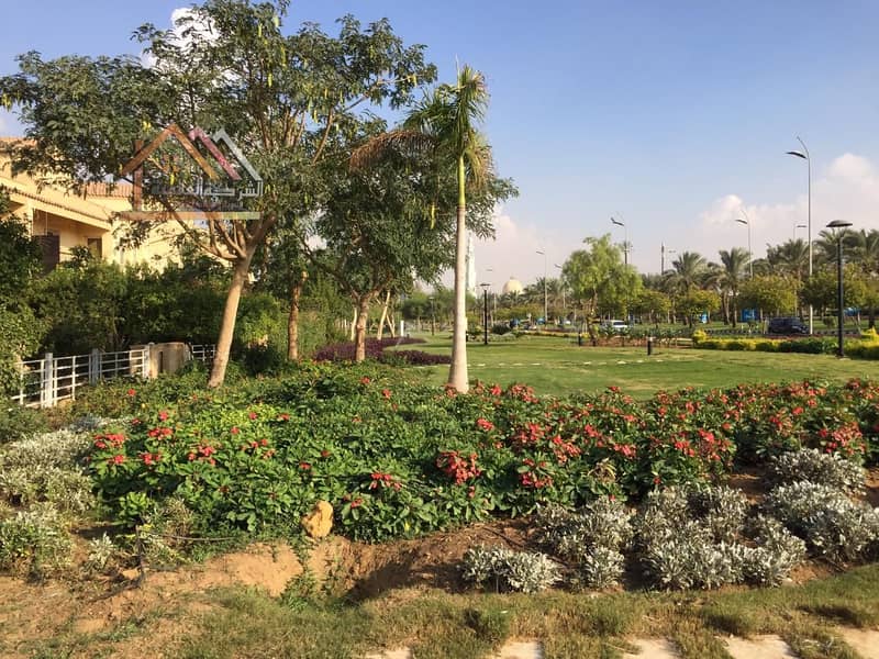 8 cc5dc6c0-20f8-470d-8d83-06239fae3842. jpg