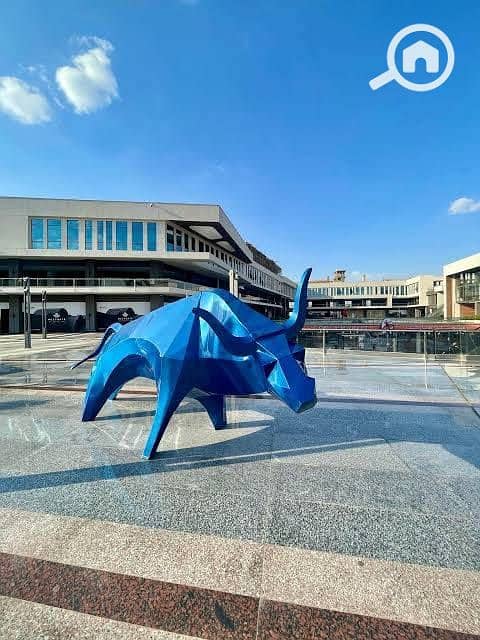 4 558051315_122141242436727954_719758025298542478_n. jpg