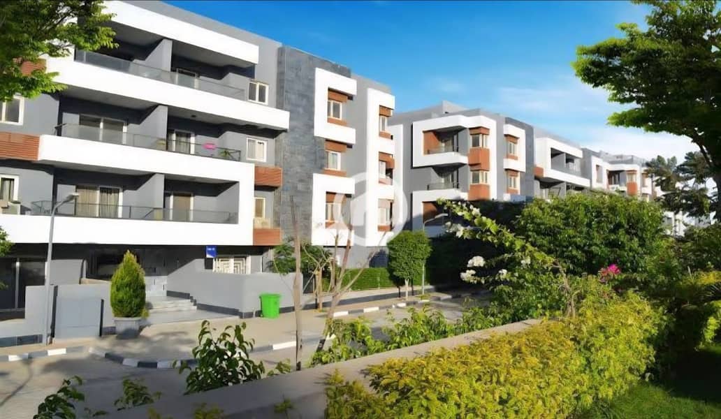 2 photo_10_2026-01-26_11-44-15. jpg